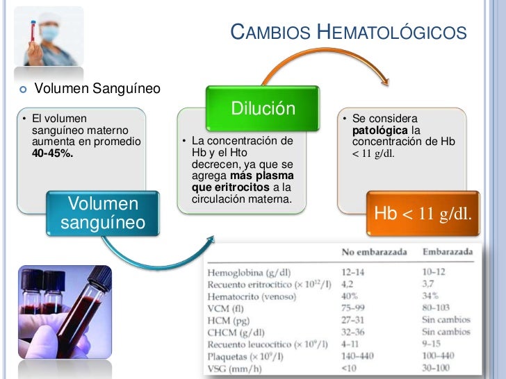 Cambios Fisiológicos Del Embarazo