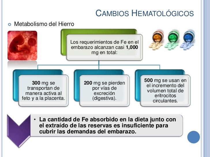 Estilo de vida con metabolismo del paracetamol