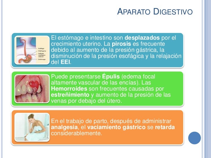 Cambios Fisiológicos Del Embarazo