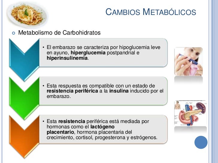 Cambios Fisiológicos Del Embarazo