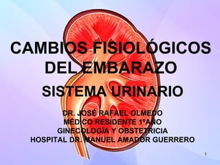 1
CAMBIOS FISIOLÓGICOS
DEL EMBARAZO
SISTEMA URINARIO
DR. JOSÉ RAFAEL OLMEDO
MÉDICO RESIDENTE 1ºAÑO
GINECOLOGÍA Y OBSTETRICIA
HOSPITAL DR. MANUEL AMADOR GUERRERO
 