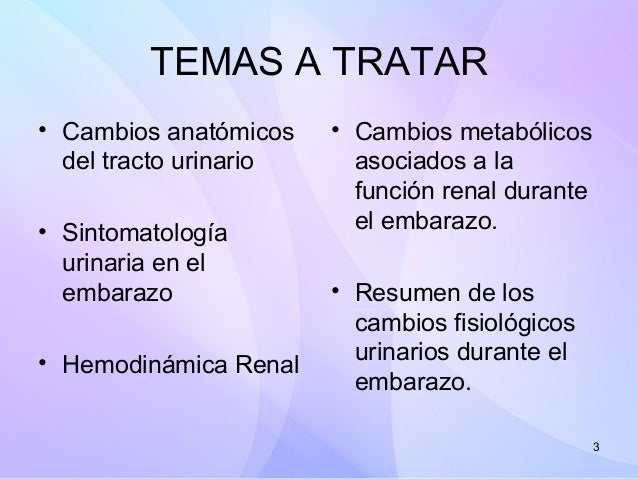Alteraciones Renales En El Embarazo Pdf To Excel
