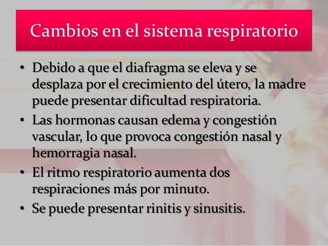 Cambios Fisiológicos En El Embarazo