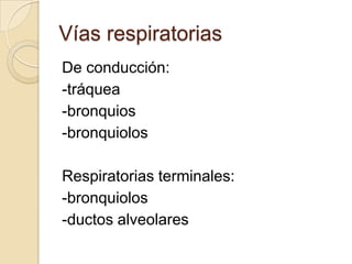 Vías respiratoriasDe conducción:-tráquea-bronquios-bronquiolosRespiratorias terminales:-bronquiolos -ductos alveolares