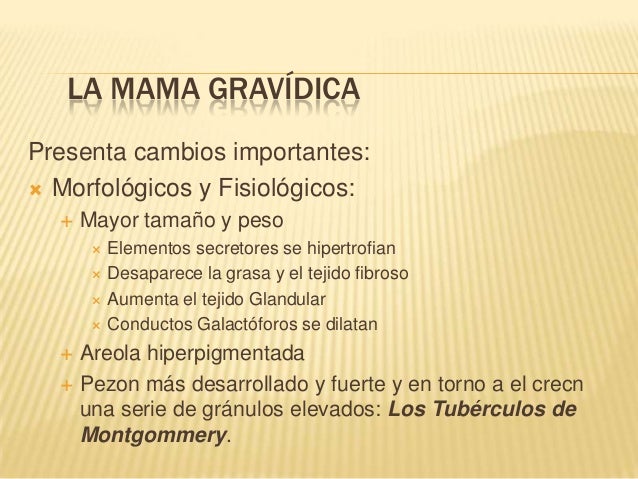 La receta por el aumento del pecho