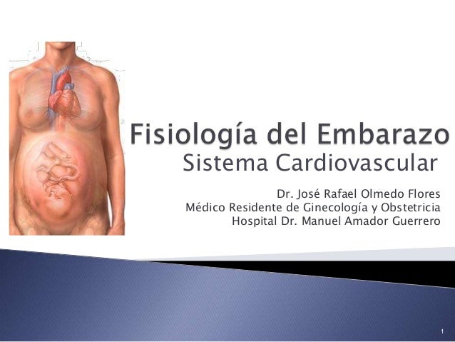 Cambios Fisiologicos Del Embarazo Cardiovascular