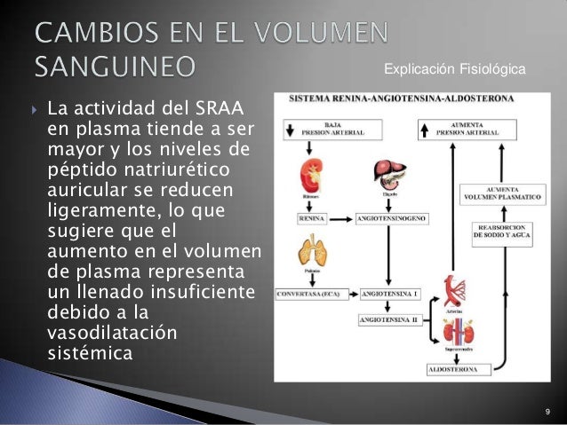 Cambios Fisiologicos Del Embarazo Cardiovascular