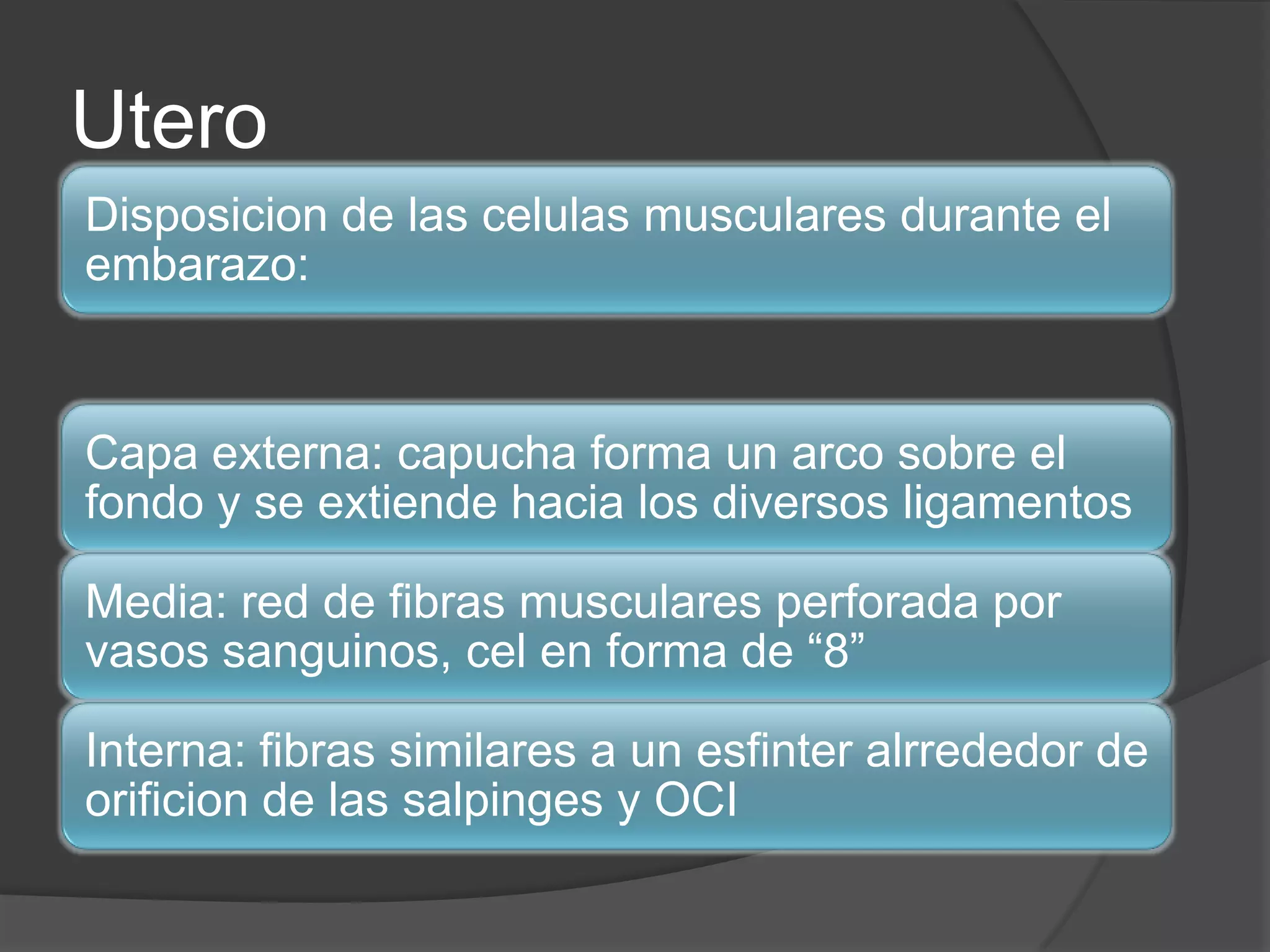 Cambios fisiologicos durante el embarazo parto y puerperio | PPTX