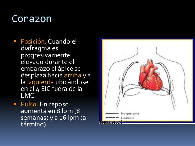 La osteocondrosis del departamento lumbar de la columna vertebral y el ejército