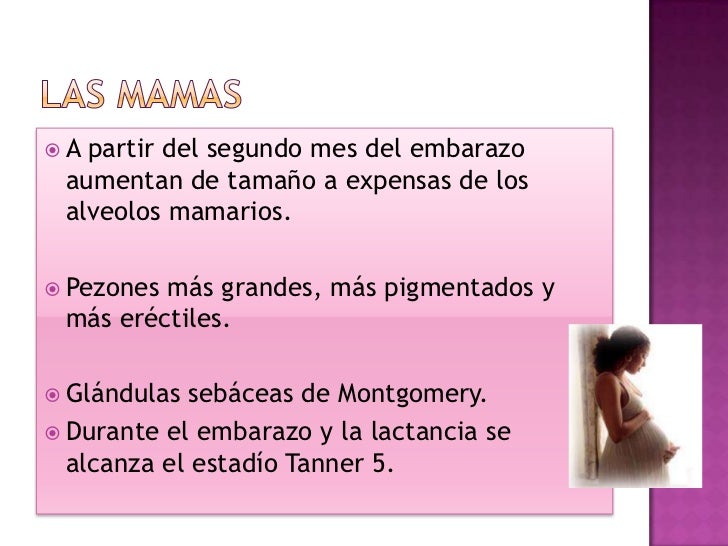 Cambios Fisiologicos En El Embarazo