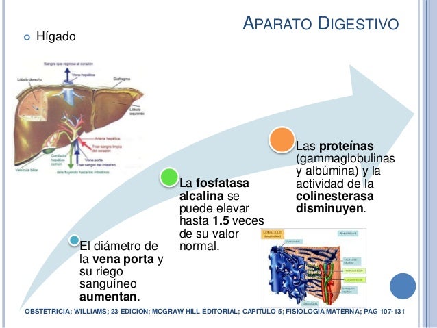 Cambios Fisiológicos En El Embarazo Ederth Cordero Unerg 2015
