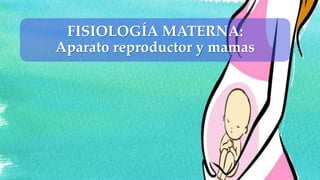 FISIOLOGÍA MATERNA:
Aparato reproductor y mamas
 