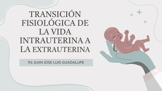 TRANSICIÓN
FISIOLÓGICA DE
LA VIDA
INTRAUTERINA A
LA EXTRAUTERINA
R1 JUAN JOSE LUIS GUADALUPE
 