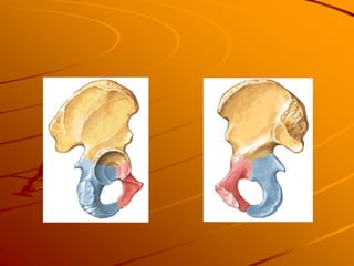 Presentaciones cefálicas: en relación con el grado de flexión de la cabeza, se
distinguen tipos de presentación cefálica:
...