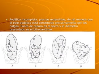 Anestesia en obstetricia:
La anestesia obstétrica actúa
simultáneamente sobre la madre y
el feto, no debiendo interferir c...