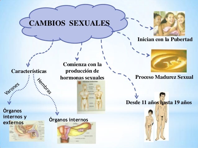 Cambios físicos en la adolescencia Cambios físicos en la adolescencia