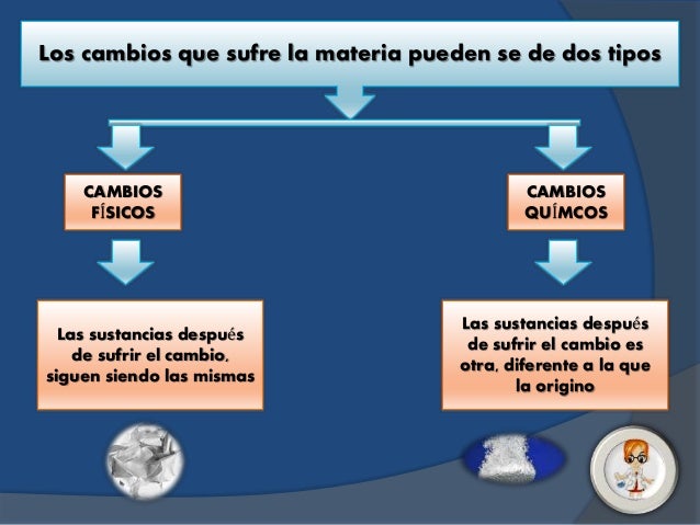 Cambios físicos y químicos