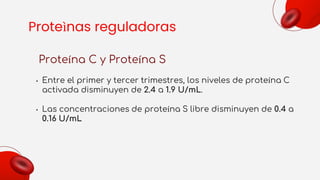 Proteìnas reguladoras
Proteína C y Proteína S
• Entre el primer y tercer trimestres, los niveles de proteína C
activada disminuyen de 2.4 a 1.9 U/mL.
• Las concentraciones de proteína S libre disminuyen de 0.4 a
0.16 U/mL
 