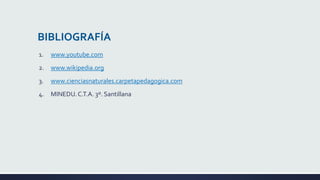 BIBLIOGRAFÍA
1. www.youtube.com
2. www.wikipedia.org
3. www.cienciasnaturales.carpetapedagogica.com
4. MINEDU. C.T.A. 3º. Santillana