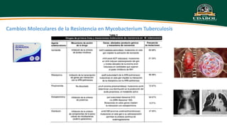 Cambios Moleculares de la Resistencia en Mycobacterium Tuberculosis
 