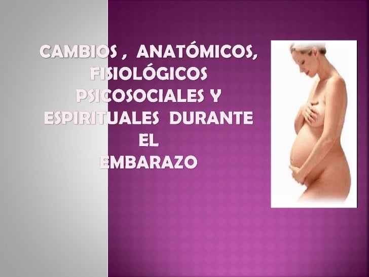 Cambios morfologicos en el embarazo