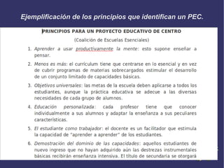Ejemplificación de los principios que identifican un PEC.
 