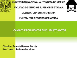 UNIVERSIDAD NACIONAL AUTONOMA DE MEXICO

FACULTAD DE ESTUDIOS SUPERIORES IZTACALA
LICENCIATURA EN ENFERMERIA

ENFERMERIA GERONTO GERIATRICA

Nombre: Pamela Herrera Cortés
Prof: Jose Luis Gonzalez Isidro

 