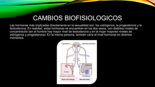 CAMBIOS BIOFISIOLOGICOS 
Las hormonas más implicadas directamente en la sexualidad son: los estrógenos, la progesterona y la 
testosterona. En realidad, estas hormonas se encuentran en los dos sexos, con distintos niveles de 
concentración (en el hombre hay mayor nivel de testosterona y en la mujer mayores niveles de 
estrógenos y progesterona). En la misma persona, también varía el nivel hormonal en distintos 
momentos. 
 