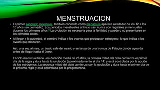 MENSTRUACION 
• El primer sangrado menstrual, también conocido como menarquia aparece alrededor de los 12 a los 
16 años (en promedio). Los periodos menstruales al inicio casi nunca son regulares y mensuales 
durante los primeros años.8 La ovulación es necesaria para la fertilidad y puede o no presentarse en 
los primeros ciclos. 
• Al llegar a la pubertad, el cerebro indica a los ovarios que produzcan estrógeno, lo que indica a los 
óvulos que maduren. 
Así, una vez al mes, un óvulo sale del ovario y se lanza de una trompa de Falopio donde aguarda 
antes de llegar hasta el útero. 
El ciclo menstrual tiene una duración media de 28 días, la primera mitad del ciclo comienza el primer 
día de la regla y dura hasta la ovulación (aproximadamente el día 14) y está controlada por la acción 
de los estrógenos. La segunda mitad del ciclo comienza con la ovulación y dura hasta el primer día de 
la próxima regla y está controlada por la progesterona. 
 