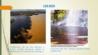 LOS RIOS 
Confluencia de los ríos Orinoco y 
Caroní, ciudad Guayana, deben su 
diferencia a la composición del agua. 
Cascada del vino, Parque nacional Dinira, 
estado Lara. 
 