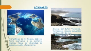 LOS MARES 
Archipiélago de los Roques, debe su 
forma submarina a las corrientes 
marinas, hogar de diversidad de 
especies, corales y flora marina. 
Cuevas del Bufón Venezuela, 
formaciones rocosas esculpidas 
por la acción del mar. 
 