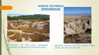 AGENTE TECTÓNICO 
EPIROGÉNICOS 
Hundición de Yay Lara Venezuela. 
Depresión ecológica en forma de cañón. 
Badlands, parque nacional Estados unidos, 
paisaje mesetas erosionadas. 
 