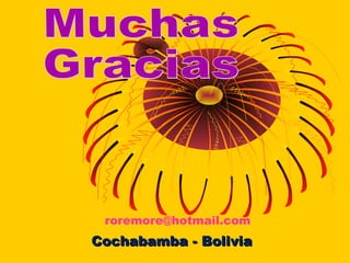 roremore@hotmail.com
Celular: 70799257CochabambaCochabamba - Bolivia- Bolivia
 