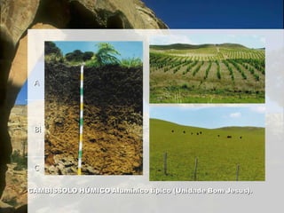 Solos de difícil penetração de água;