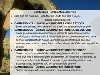 Solos usados para plantação de arroz,  feijão,  fumo e para pastagem.