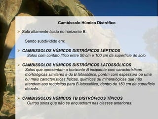 Encontrado em Superfícies mais jovens;IBGE (2004)