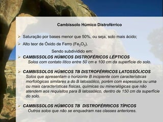 CAMBISSOLO FLÚVICOSolos minerais com sequência errática de carbono e de textura dentro de 120 cm a partir da superfície do solo, normalmente com mudança textural abrupta entre um ou mais horizontes ao longo do perfil, ocorrendo em áreas aplainadas de planícies e/ou terraços aluviais recentes ou não.CAMBISSOLOS FLÚVICOS CarbonáticosSolos com caráter carbonático ou com horizonte cálcico em um oumais horizontes, dentro de 120cm da superfície do solo. CAMBISSOLOS FLÚVICOS SódicosSolos com caráter sódico em um ou mais horizontes, dentro de120cm da superfície do solo.CAMBISSOLOS FLÚVICOS SálicosSolos com caráter sálico em um ou mais horizontes, dentro de120cm da superfície do solo.CAMBISSOLOS FLÚVICOS AlumínicosSolos com caráter alumínico na maior parte dos primeiros 100cm dohorizonte B (inclusive BA).CAMBISSOLOS FLÚVICOS Ta DistróficosSolos com argila de atividade alta e saturação por bases baixa (V <50%) na maior parte dos primeiros 100cm do horizonte B (inclusive BA).CAMBISSOLOS FLÚVICOS Tb DistróficosSolos com argila de atividade baixa e saturação por bases baixa (V< 50%) na maior parte dos primeiros 100cm do horizonte B(inclusive BA).CAMBISSOLOS FLÚVICOS Ta EutróficosSolos com argila de atividade alta e saturação por bases alta (V >50%) na maior parte dos primeiros 100cm do horizonte B (inclusiveBA).CAMBISSOLOS FLÚVICOS Tb EutróficosSolos com argila de atividade baixa e saturação por bases alta (V >50%) na maior parte dos primeiros 100cm do horizonte B (inclusiveBA).CAMBISSOLO HÚMICOSolo com o Horizonte A rico em húmus;