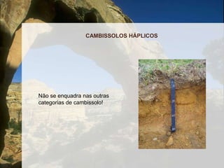 Sendo subdividido em 4 tipos quanto a acidez e aos minérios encontrados neles: