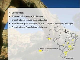 Em geral, pouco profundo, chegando á 1,50 m de profundidade;