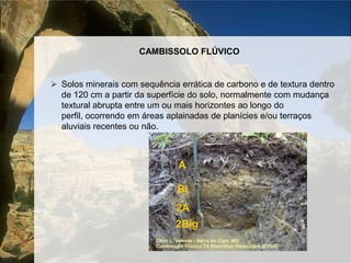 Formado pelos horizontes A, Bi e C;