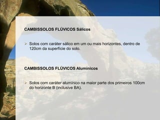 Horizonte A menor que 40 cm;