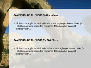 Horizonte B localizado subjacente ao horizonte A;