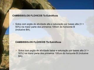 Horizonte B incipiente;