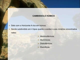 Horizonte B rico em minérios destacando-se o silte.Solos ácidos;