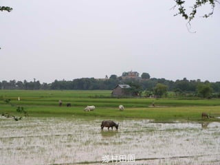 鄉村田園 