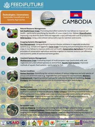 The Feed the Future Sustainable Intensification Innovation Lab activities in Cambodia