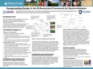 Foregrounding Gender in the SI Assessment Framework for Systems Analyses