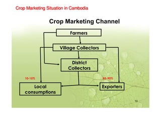 10
Crop Marketing Channel
Crop Marketing Situation in CambodiaCrop Marketing Situation in CambodiaCrop Marketing Situation...