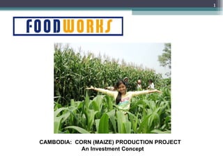 CAMBODIA:  CORN (MAIZE) PRODUCTION PROJECT An Investment Concept 