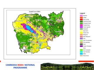 Cambodia forest reference level